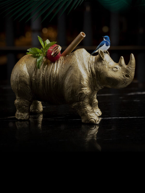Fancy Rhino